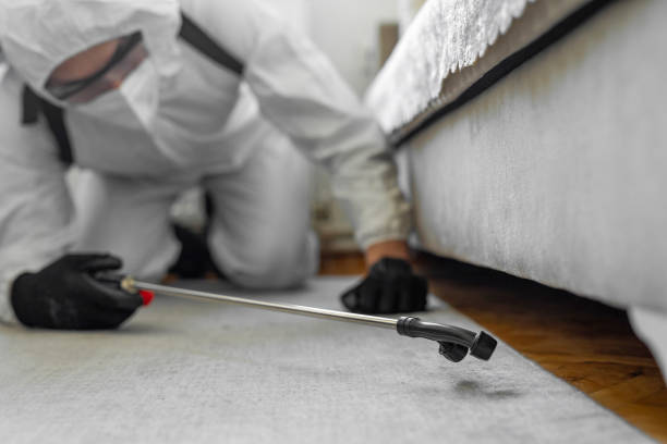 Professional Mosquito Control technician working in Malabar, FL