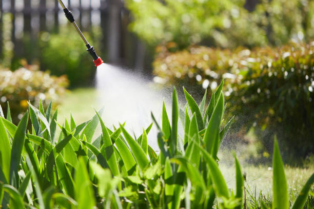 24/7 Emergency Mosquito Control experts in Malabar, FL